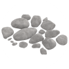 Growth Medium
